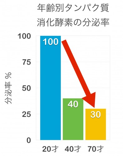 タンパク質消化酵素の分泌率