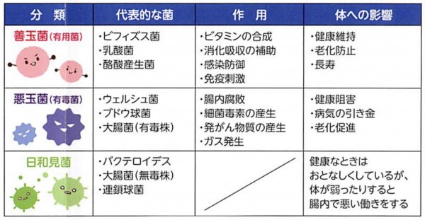 酪酸菌_種類