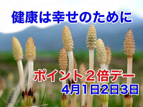 210330_ポイント2倍デー