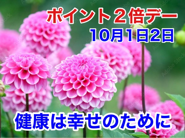 241001_ポイント２倍デー_ダリア