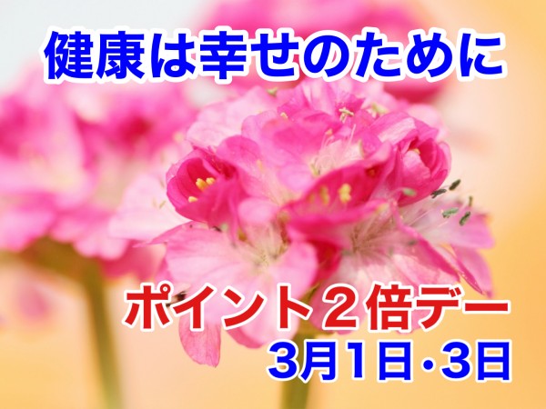 250301_ポイント２倍デー